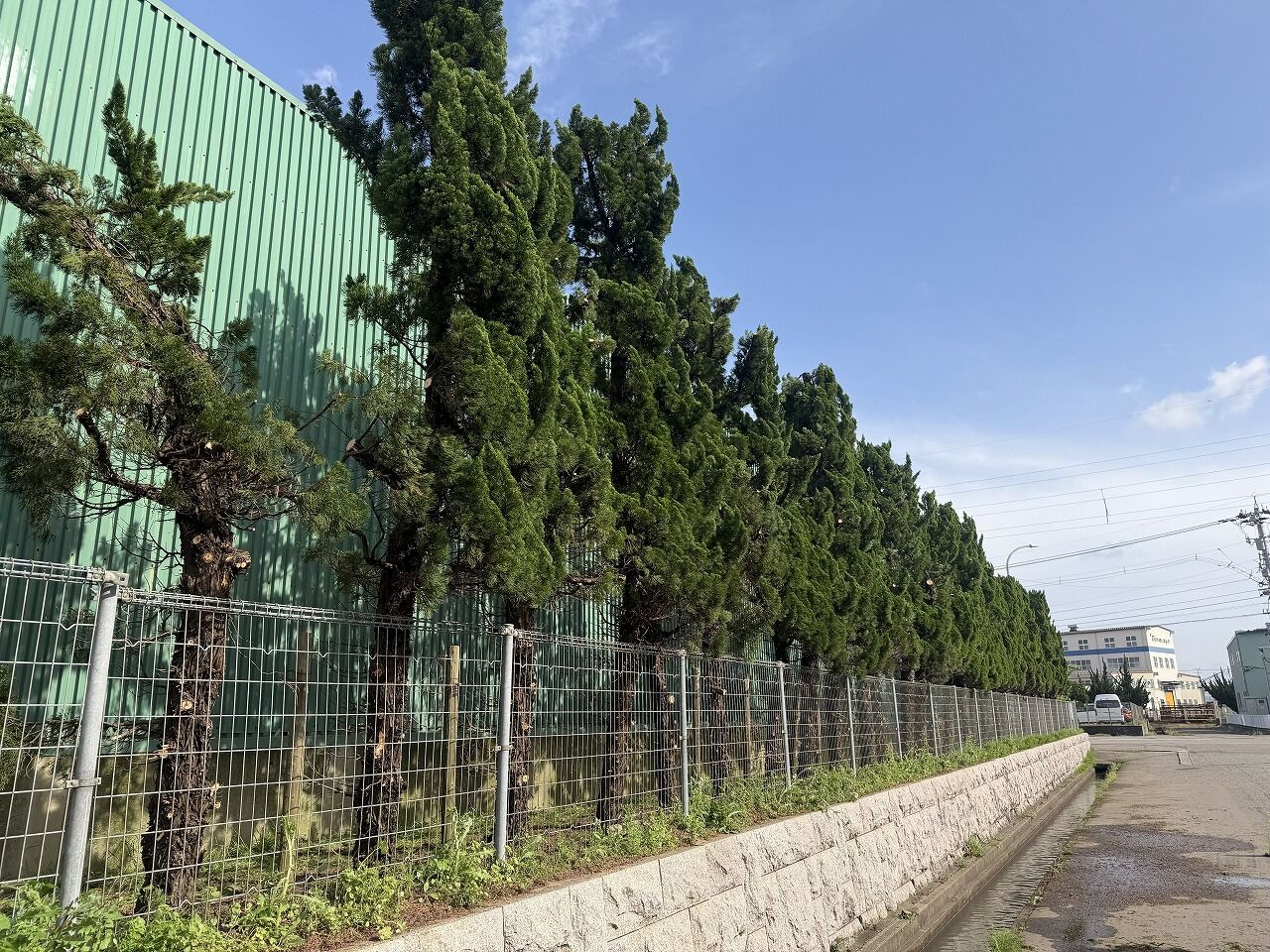 ハリタ金属 作業完了
